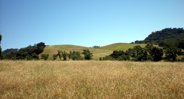 Sunol Skyline