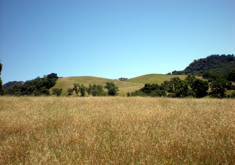 Sunol Skyline