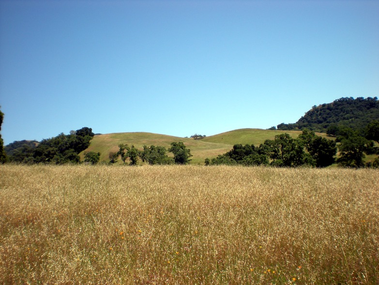 Sunol Skyline