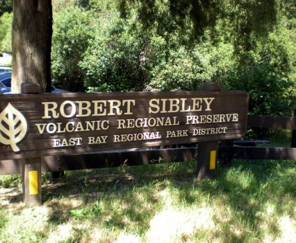 Sibley Sign