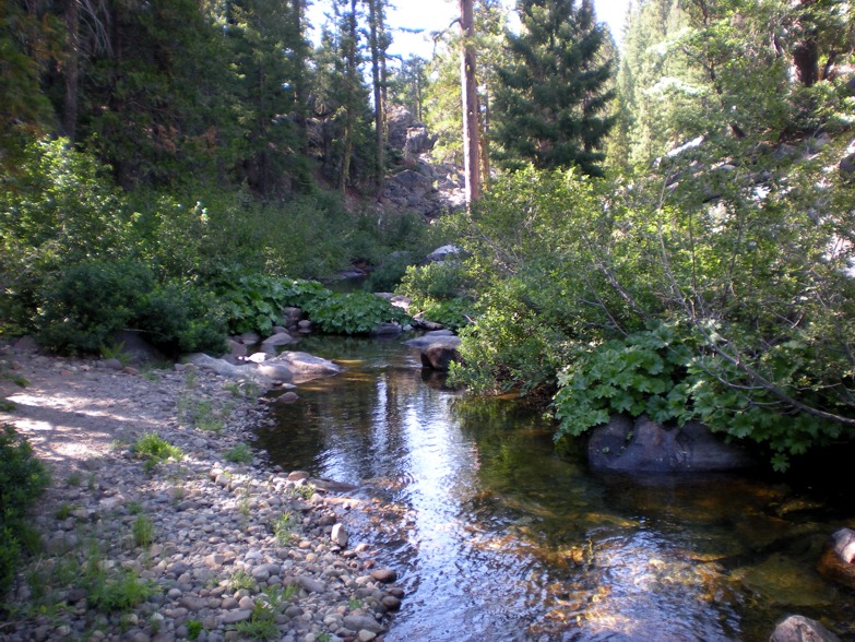 Sierra Small Stream North Fork of Consumnes