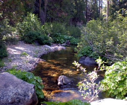 Very Small Sierra Stream