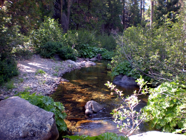 Very Small Sierra Stream