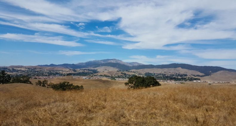 Tassajara Ridge Trail