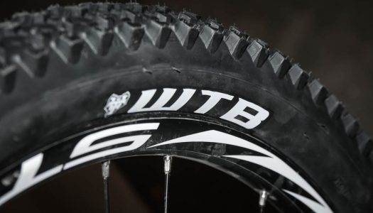 WTB Bronson 2.3 Tire Review