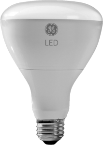 GE LED Floodlight